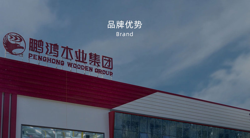 板材品牌、全屋定制品牌、生態(tài)板十大品牌
